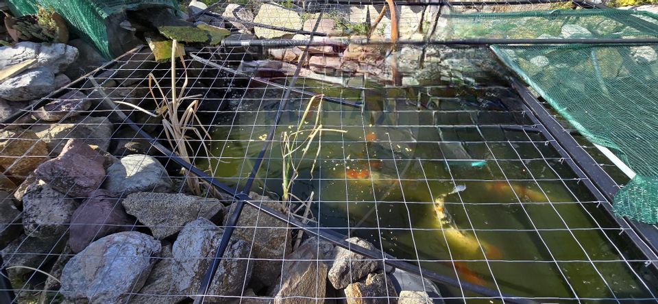 8 room House / Villa for sale, Central area