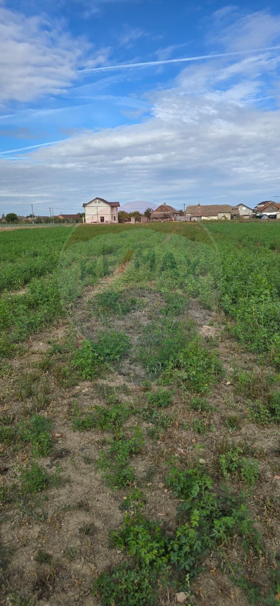 Teren si casă cu teren generos în Socodor