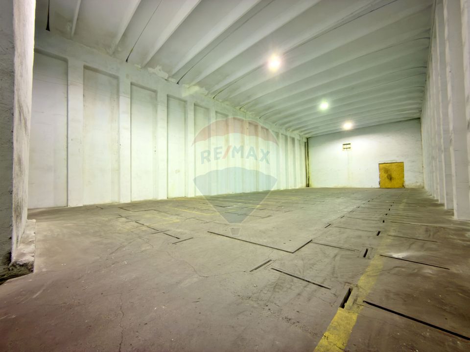 Spațiu industrial de vânzare în Aradul Nou / Arad