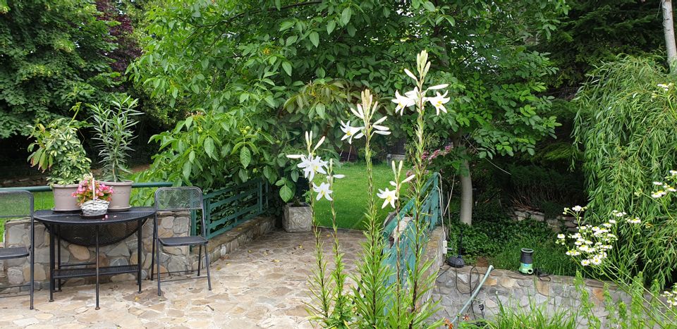 7 room House / Villa for sale