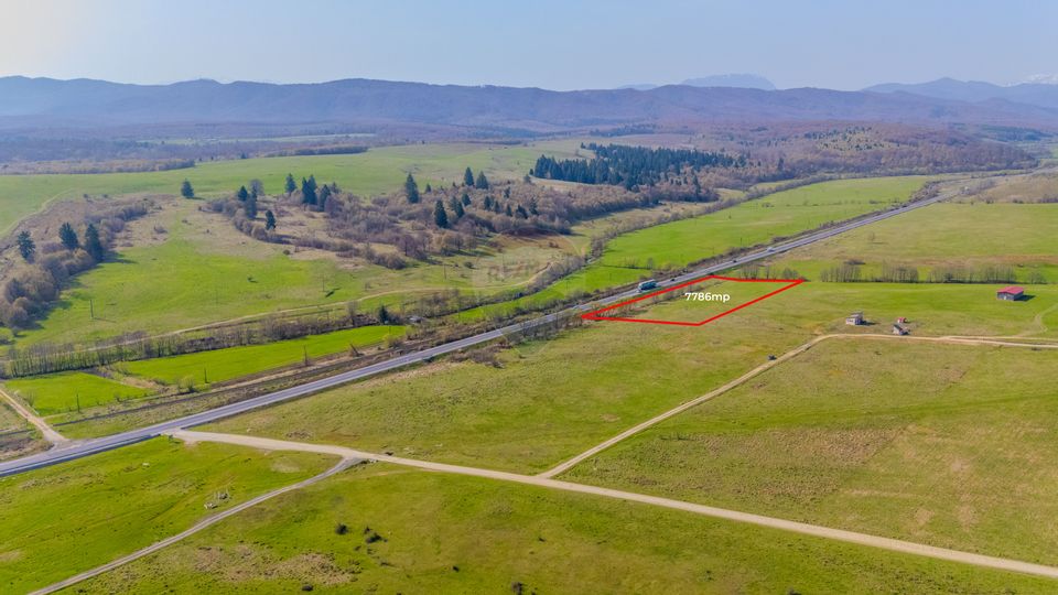 Teren 7786 mp/Curți construcții/Benzinărie