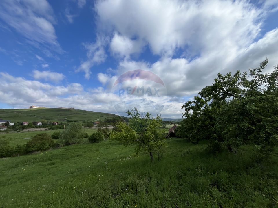 Land 800sqm Cluj-Napoca / Strada Colonia Sopor