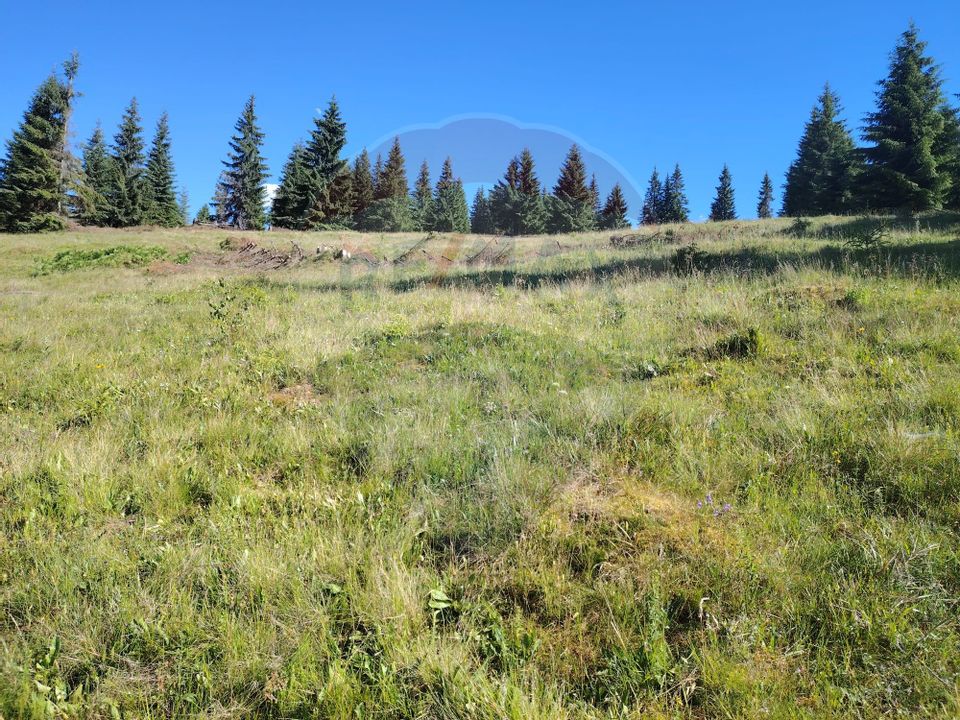 Teren 24,581mp Panaci / Strada Mihăileț