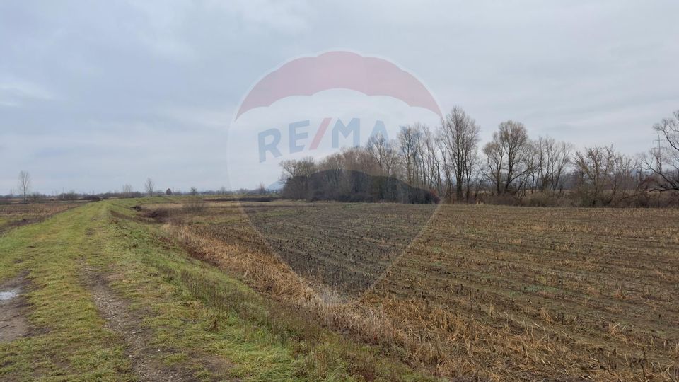 Land 3,600sqm Sacalaseni / Strada Râului