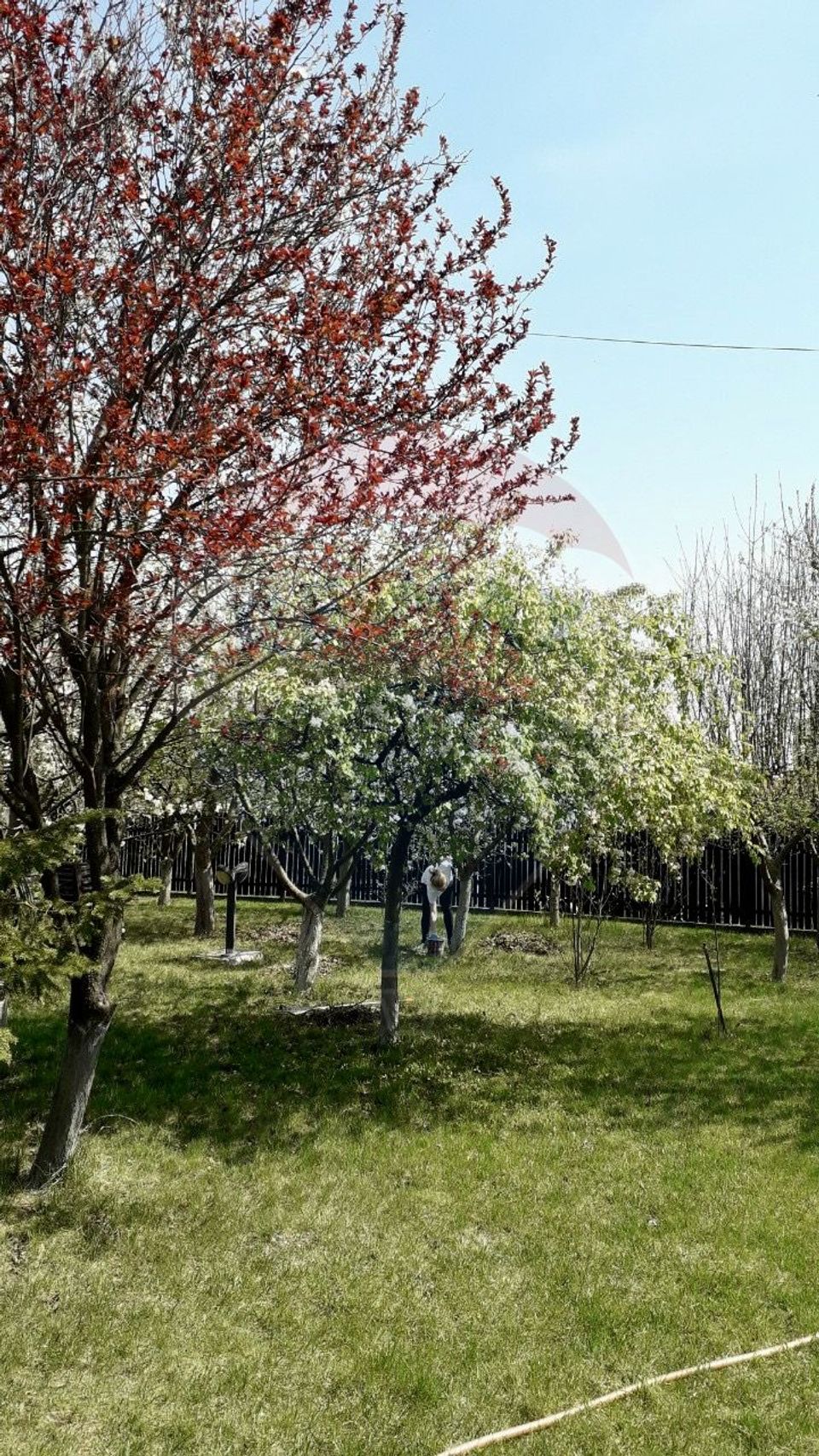 Teren Strada Podisor, Buda, Ilfov