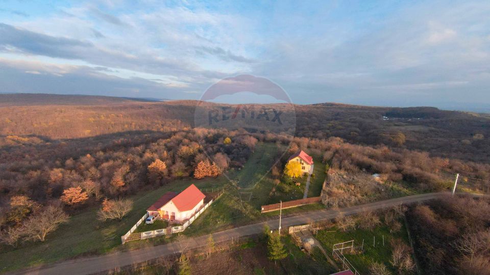 Teren intravilan de vânzare 915 mp – Săldăbagiu de Munte