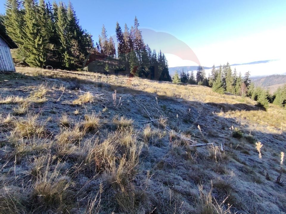 Teren 31,461mp Panaci / Prelungirea Ialovita