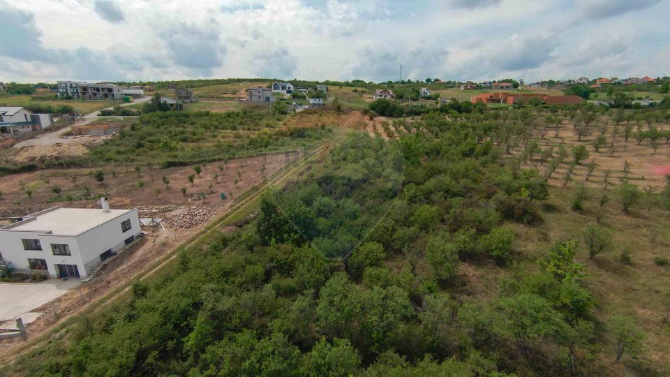 Teren intravilan 1,163mp de vânzare în Săldabagiu De Munte