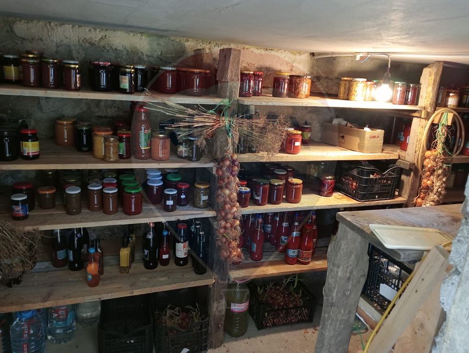 Vanzare casa  4 camere-microferma, cu panouri fotovoltaice