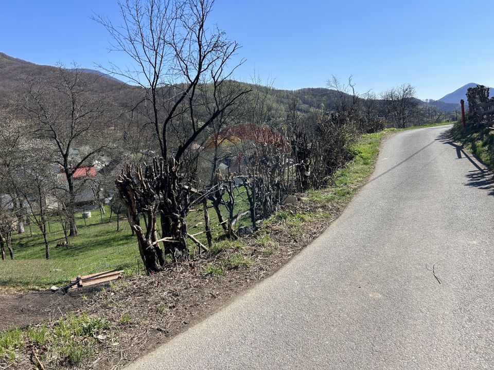 Land 1,106sqm Baia Mare / Strada Firiza