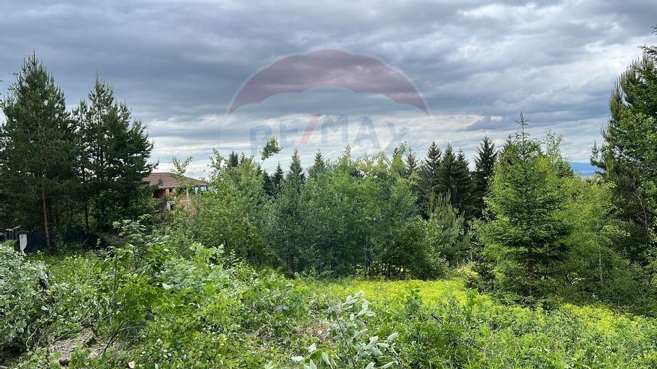 Teren Sacele / Strada Valea Larga 2000 mp