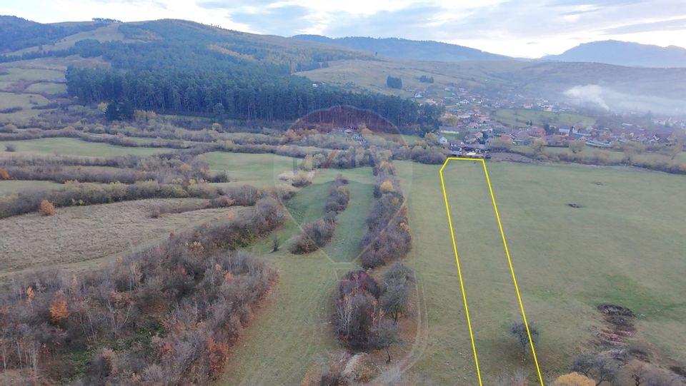 Teren 5.800 mp Purcareni curent, gaz, apă / Strada 30 decembrie