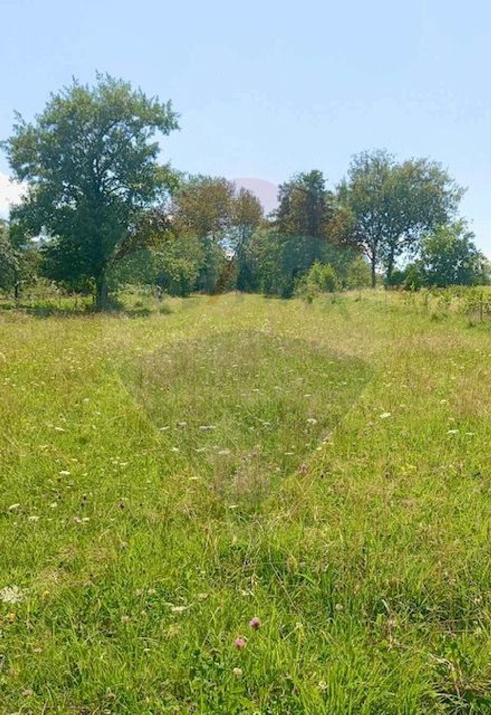 Teren 1,915mp Breb / Drumul Principal