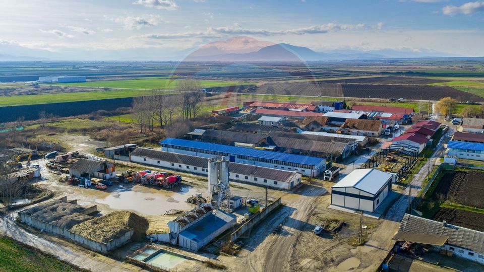 De închiriat spațiu pentru depozitare 300mp + curte 650mp Feldioara