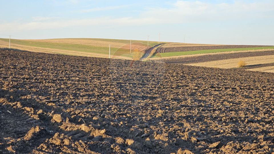 Land 30,077sqm Stroiesti / Soseaua DN17