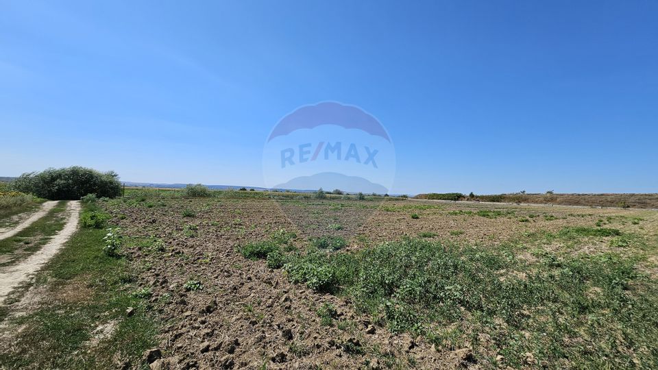 Land 52,115sqm Hutani / DJ DJ291