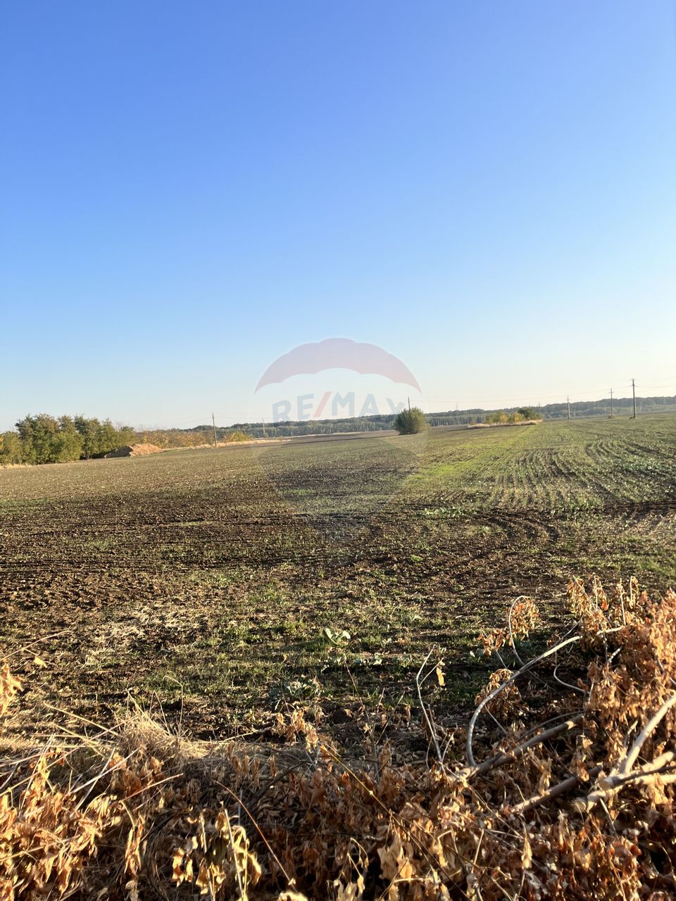 Land 10,000sqm Belciugatele / DN 3