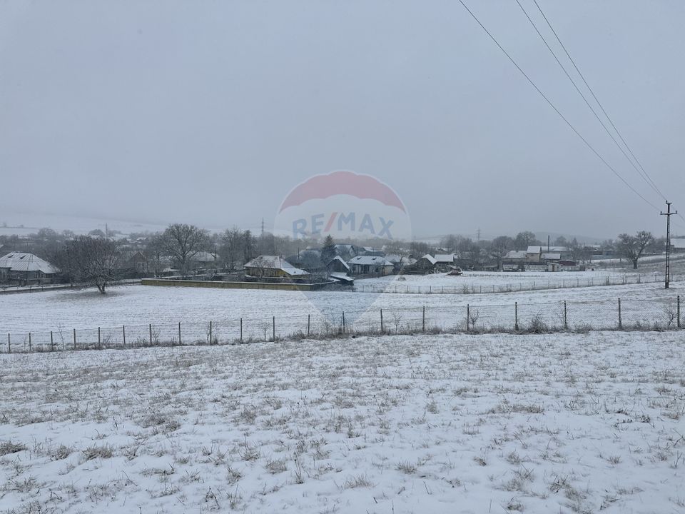 Land 8,300sqm Negresti (Dobreni) / Drumul DEALUL OTEL