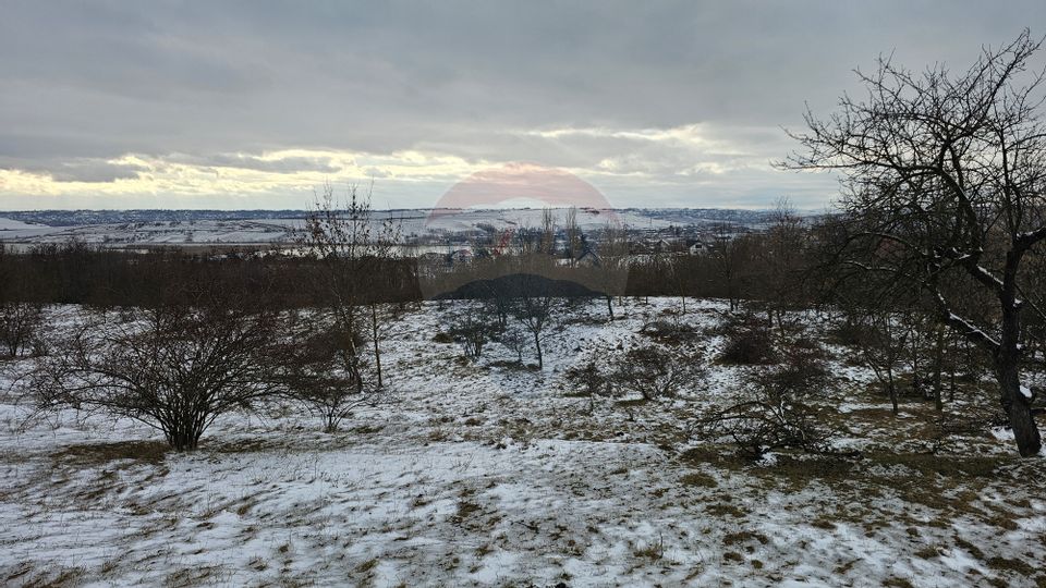 Teren 10,000mp Rădășeni / Șoseaua DN2-E85, județul Suceava