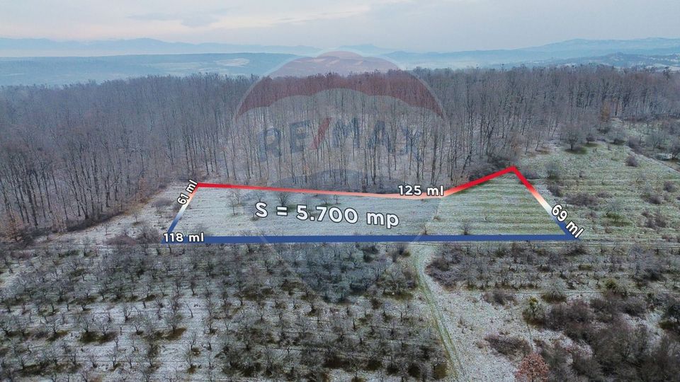 Teren 5,700mp Somcuta Mare / investitie cu potential major