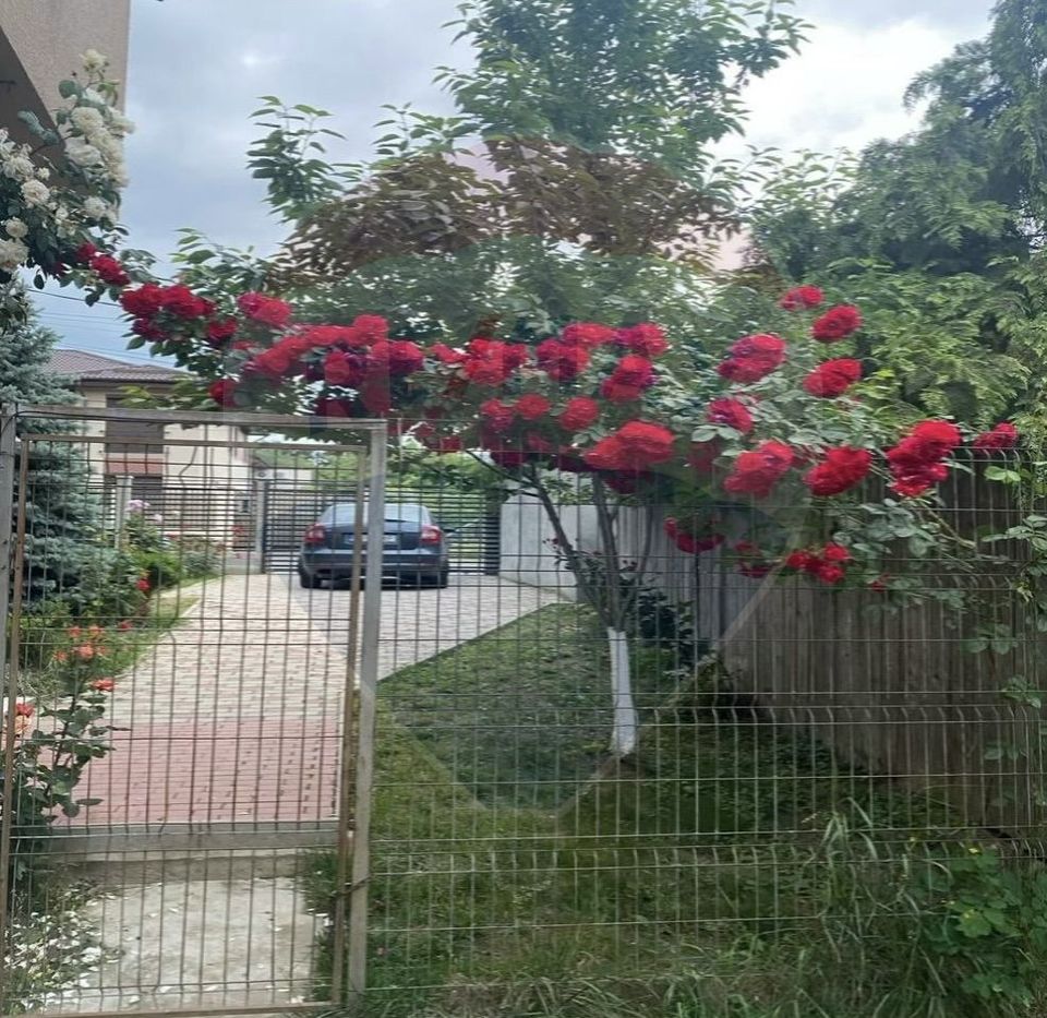 Villa for sale at the entrance to Mogosoaia, between two forests, lake