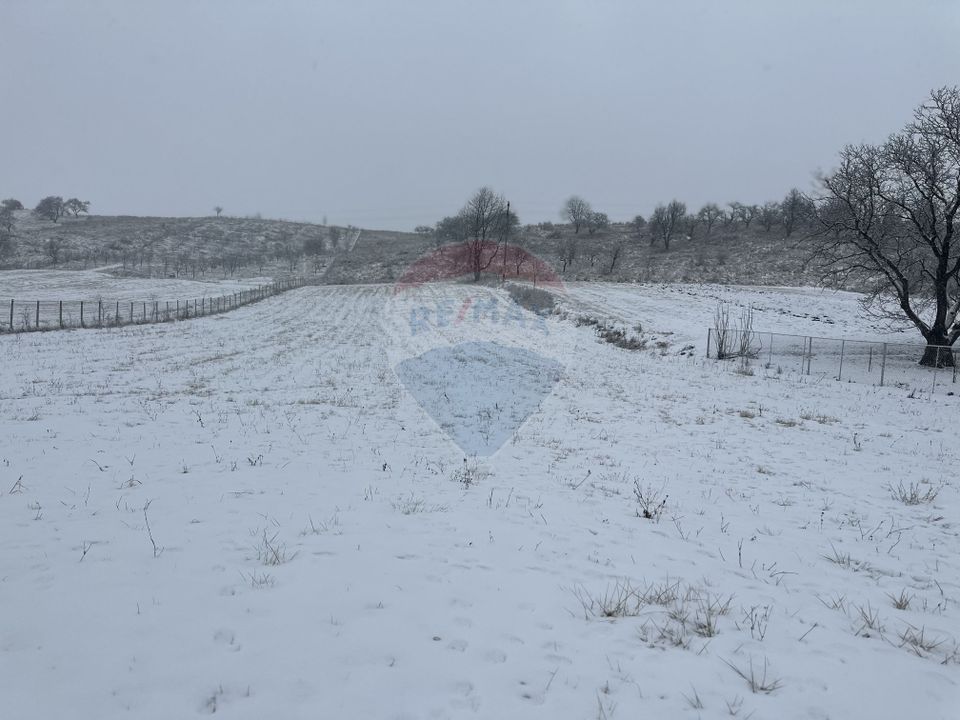 Land 8,300sqm Negresti (Dobreni) / Drumul DEALUL OTEL