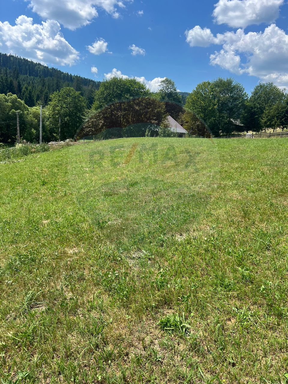 Land 4,397sqm Manastirea Humorului / Strada Chilia