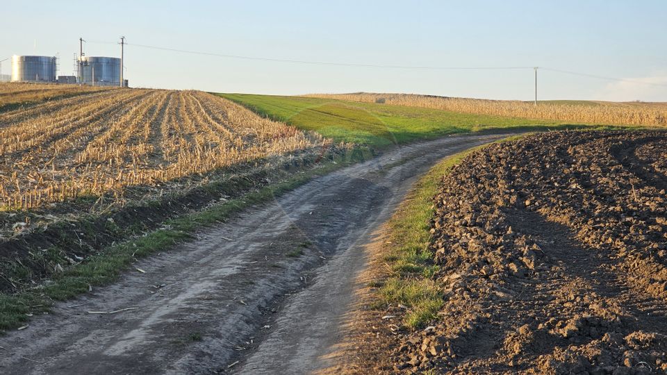 Land 30,077sqm Stroiesti / Soseaua DN17
