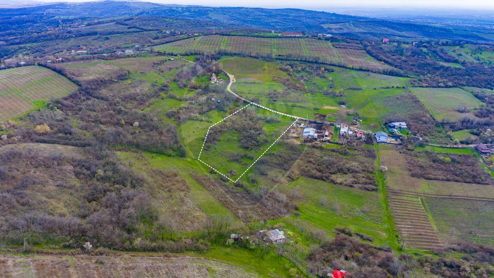 Teren 33.500 mp-Valea Orlei, Prahova/ COMISION 0%