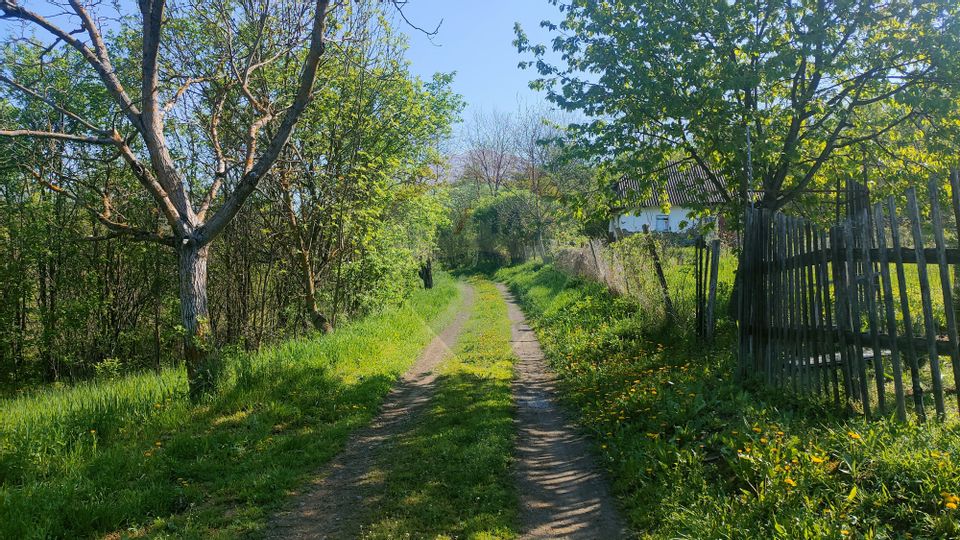 Teren de vis în Stejeriș – utilități, natură, acces rapid!
