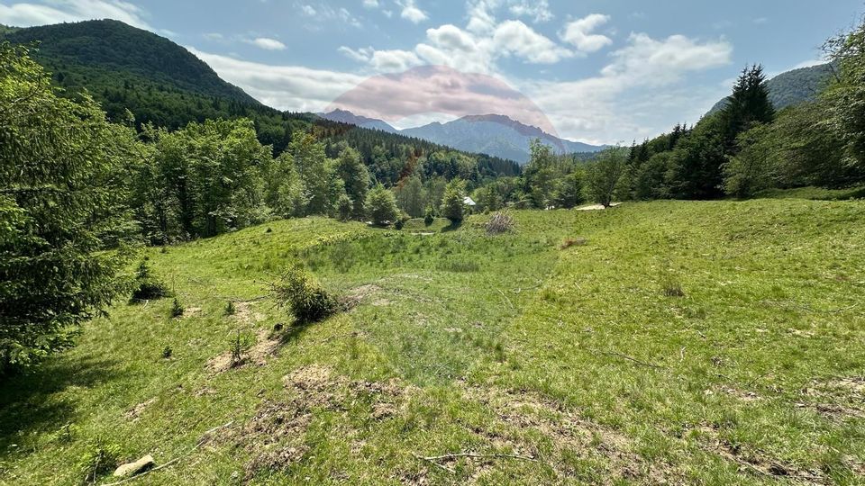 Land 8,500sqm Dalghiu / DJ 103A