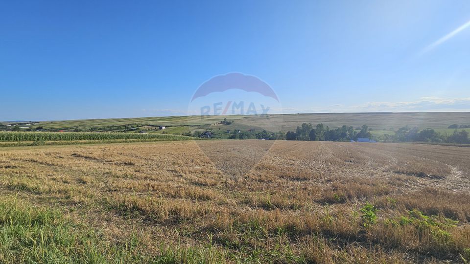 Teren intravilan, 7500 mp in Moara Carp / Strada Eternitatii-Suceava