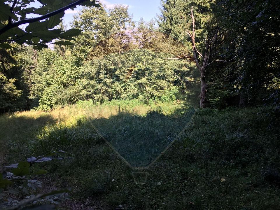 Teren extravilan - fâneață 2000mp Râșnov -Strada Glajerie langa padure