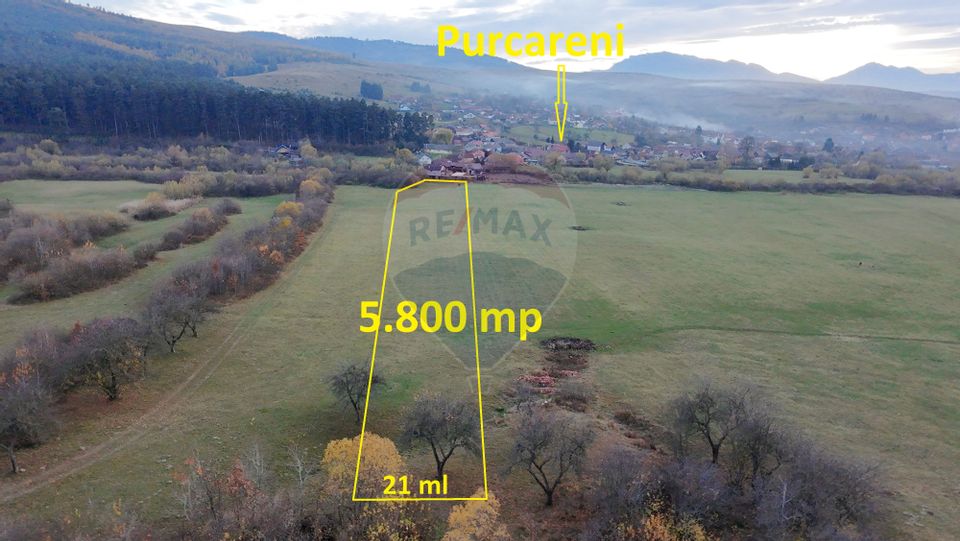 Teren 5.800 mp Purcareni curent, gaz, apă / Strada 30 decembrie