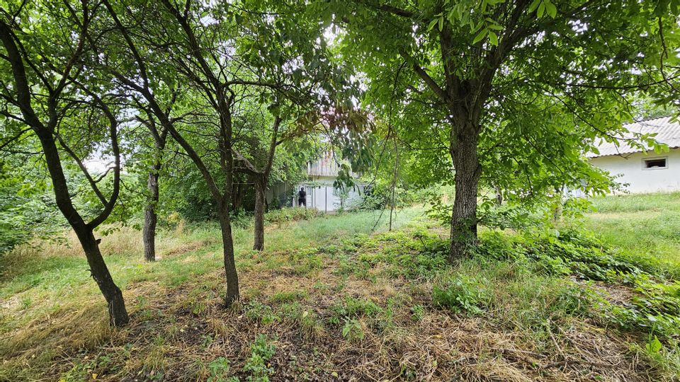 Casa  de vânzare cu teren 9200 mp, Pădureni-Șendriceni, Botoșani