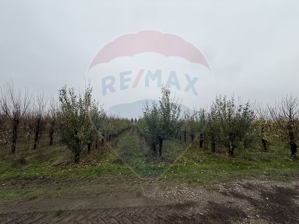 Ferma agro-industrială – 43 ha Adunații Copaceni