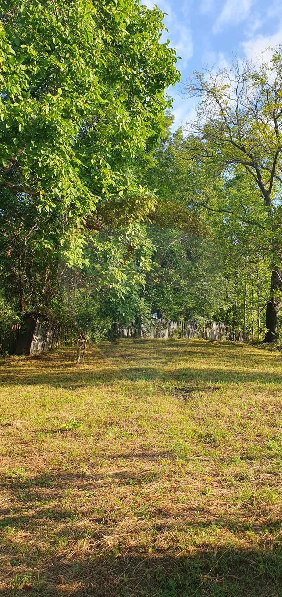 Teren 4,972mp Bertea / Strada Matraguni