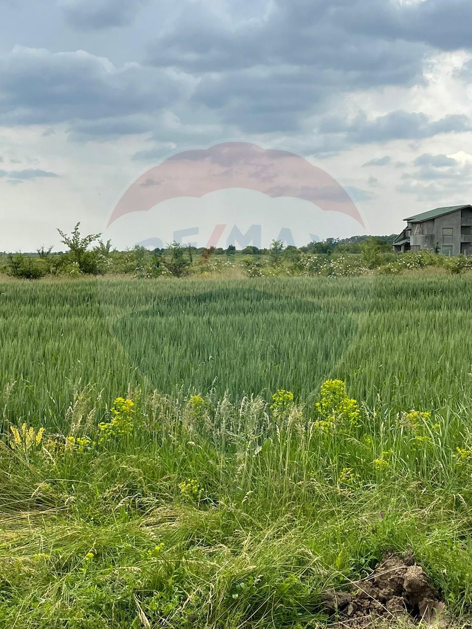 Teren intravilan, un colț de liniște, aflat în Petrești, Corbeanca