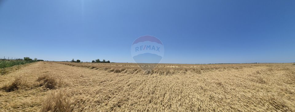 Land 20,921sqm Vidra / Strada Garii