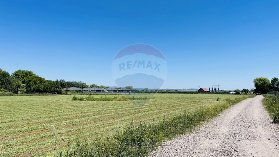 Teren intravilan 10.000 mp în Stupini, Brașov