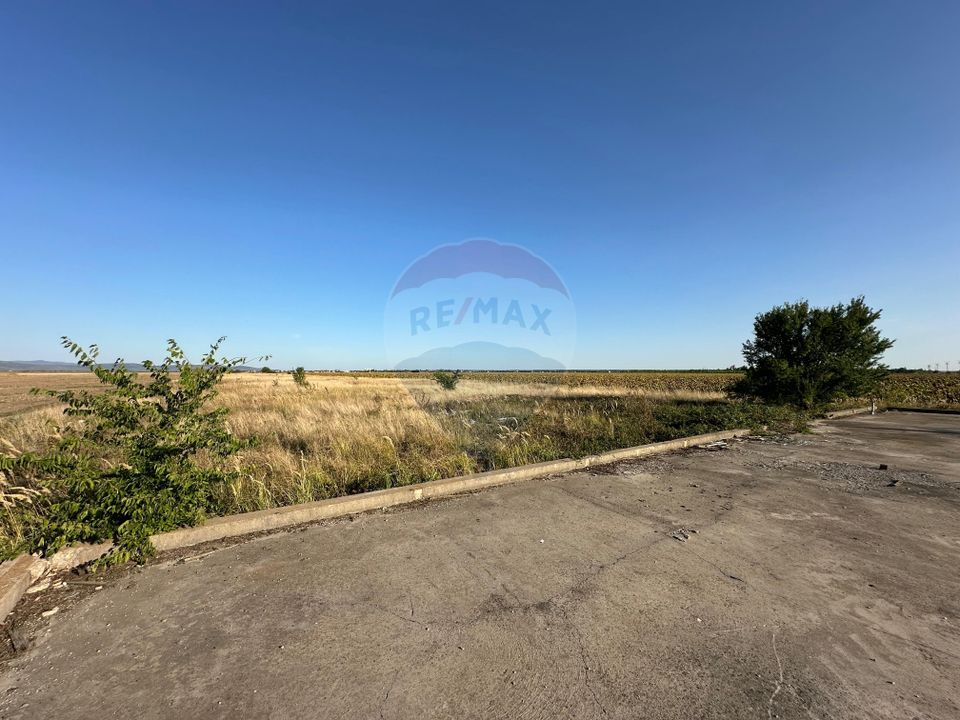 Teren extravilan de vânzare – 19.963 mp, E68 Mândruloc–Vladimirescu