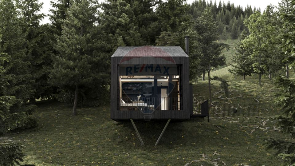 Doua case la munte, cu vedere superba, localizate in Poiana Marului