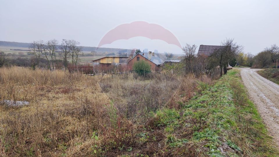 Loc de casa si teren cultivat cu vita de vie 1,28 Ha Santimreu Bihor