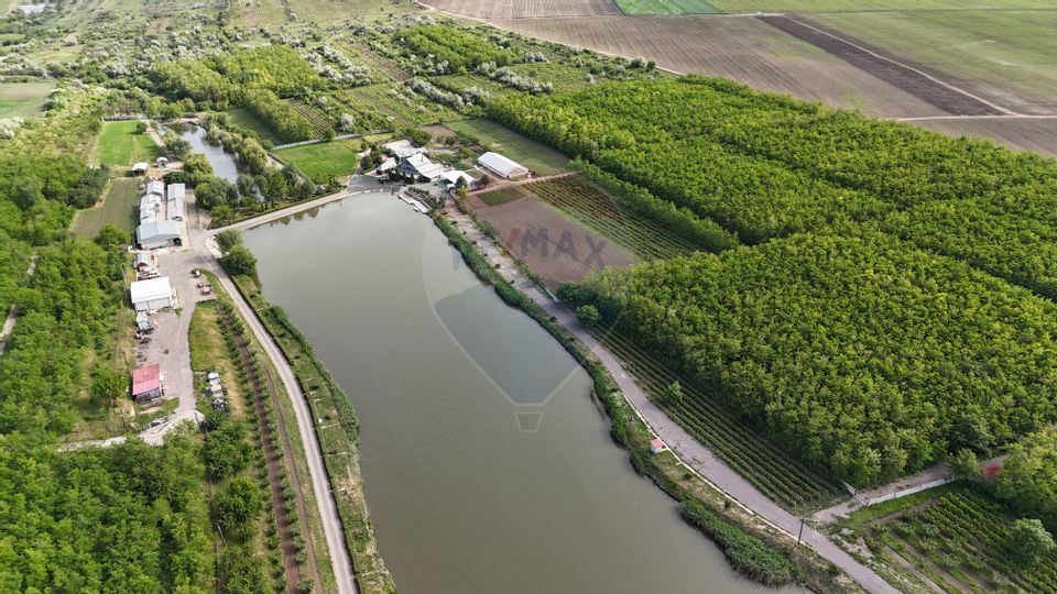 Land 320,000sqm Costi / Strada Eternitatii