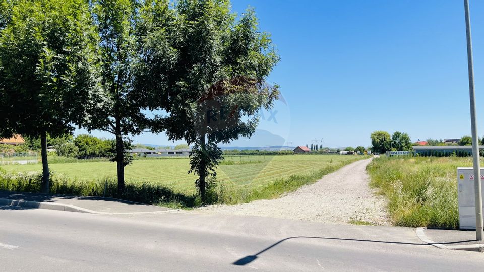 Teren intravilan 10.000 mp în Stupini, Brașov