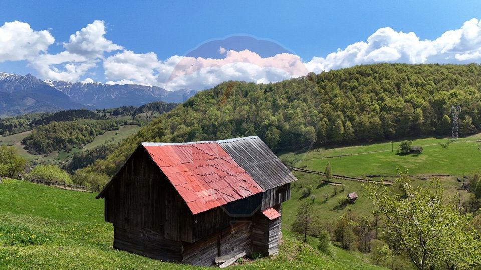 Land 5,694sqm Moieciu / Drumul Drumul Carului