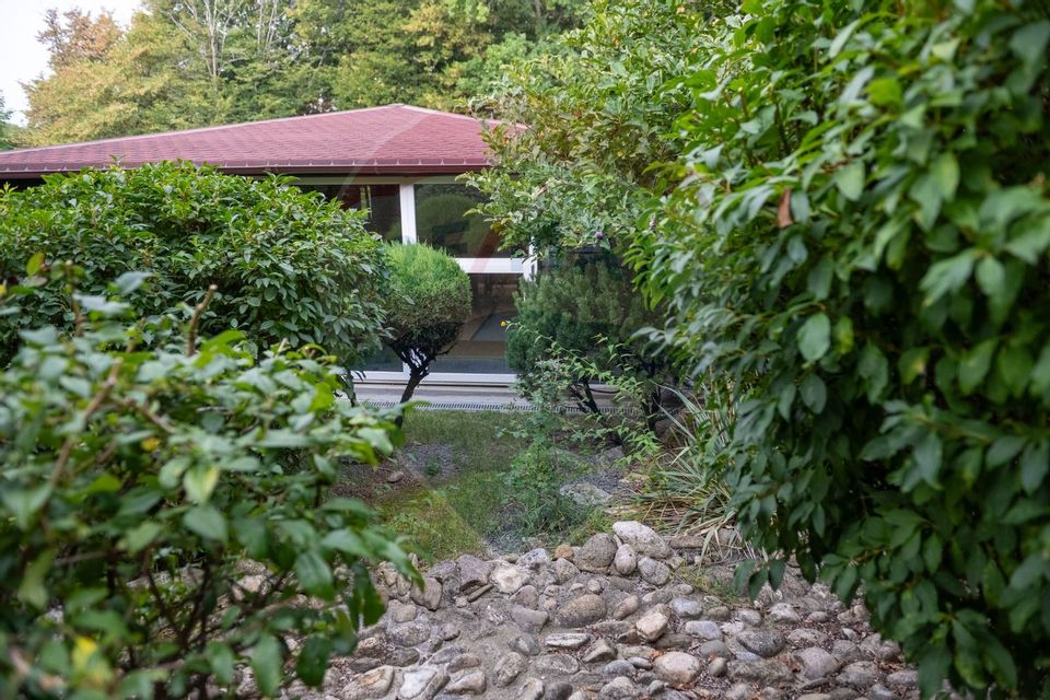 Vilă spectaculoasă de vânzare în Făget