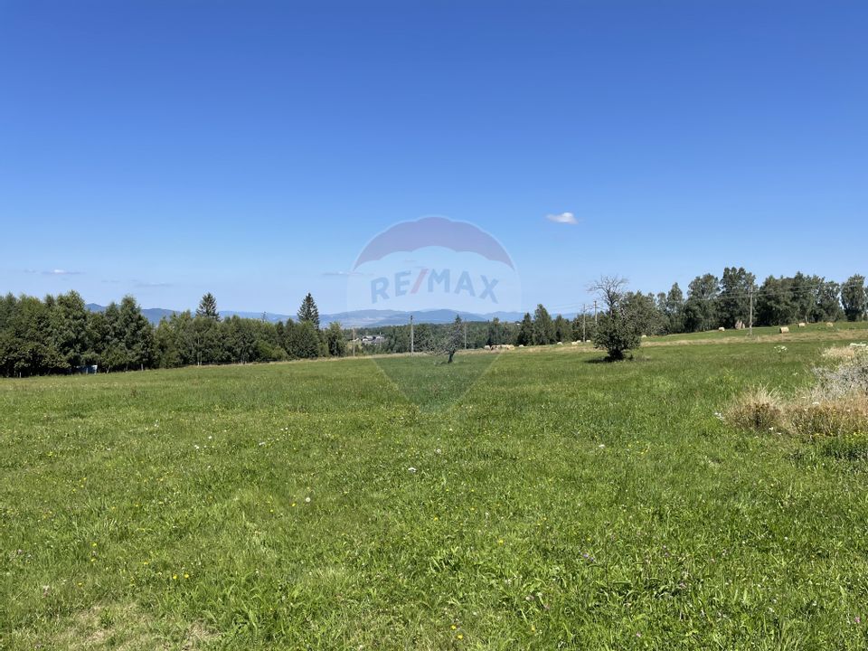 Land 98,610sqm Dealu Negru / Strada Primcipala