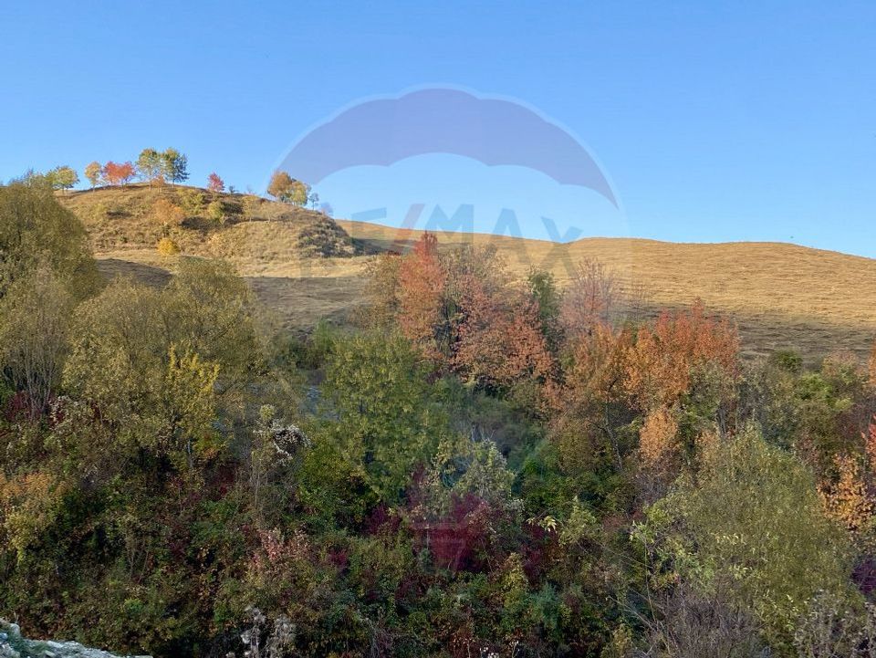 Land plot for sale Prahova -Secaria-Baiului Mountains