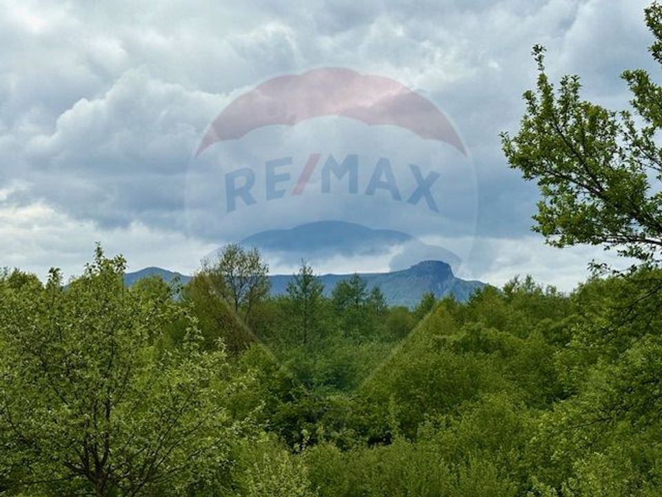 Land 20,876sqm Breb / Drumul Principal